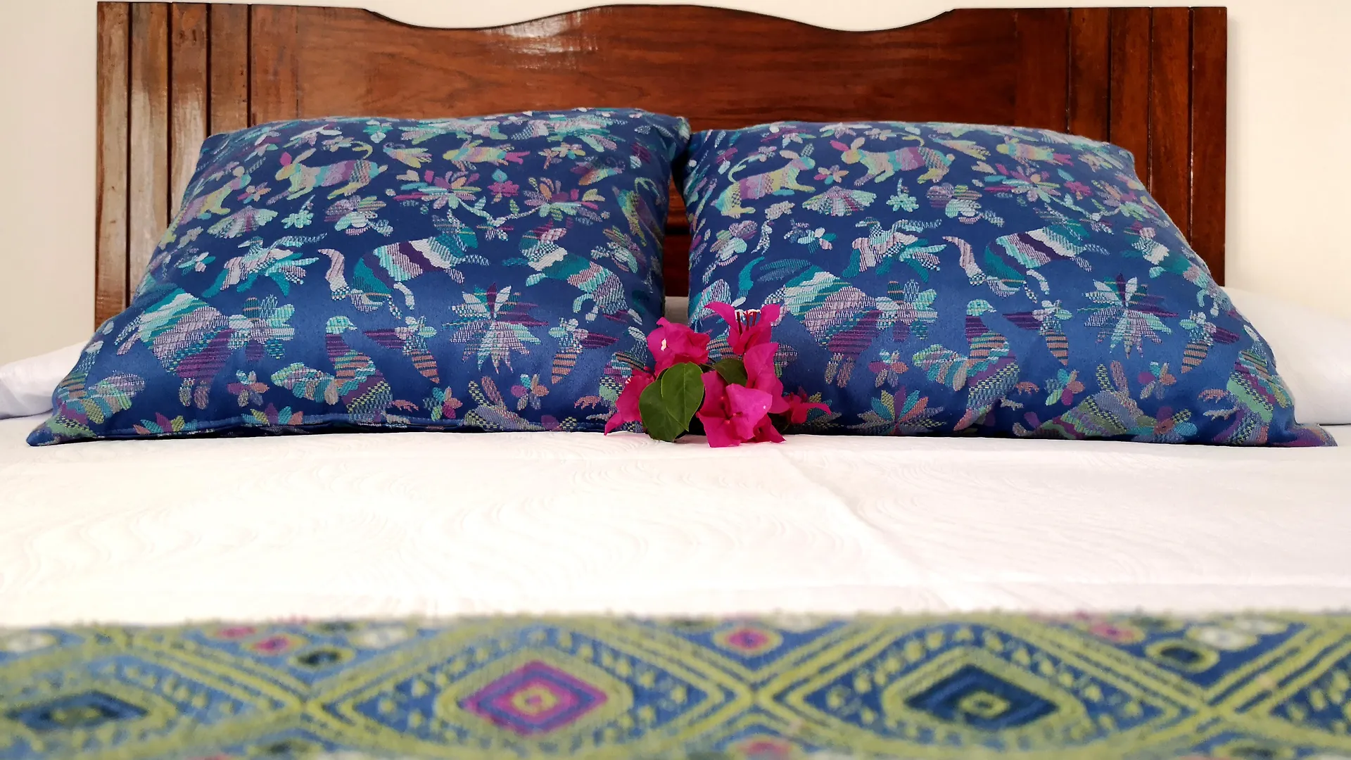 Hotel Rosita Puerto Vallarta